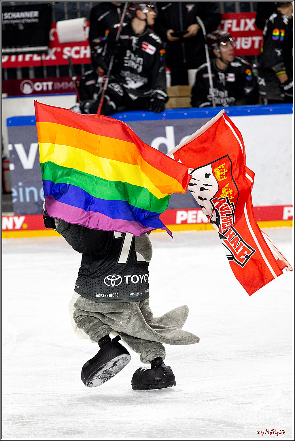 PENNY DEL;  Koelner Haie - Fischtown Pinguins Bremerhaven; Koeln, 17.01.2021